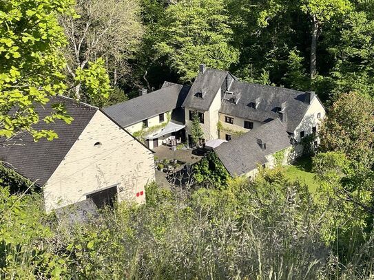 Exklusives Mühlenanwesen, vollständig sanierte Wasser-Mühle in absoluter Alleinlage mit 2,6 ha Land. Ein fränkischer Vi…