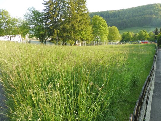 Baugrundstück für Einfamilienhaus in Albstadt-Pfeffingen