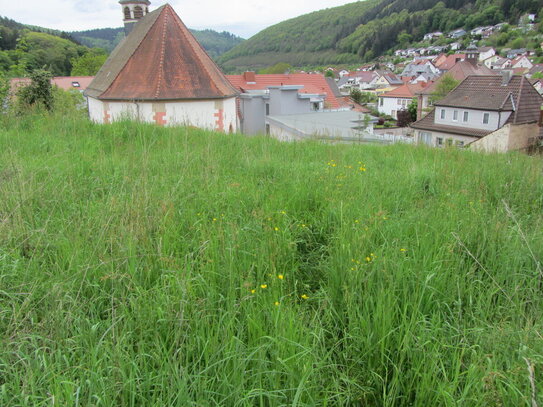 Sonniges Baugrundstück in Neckargerach