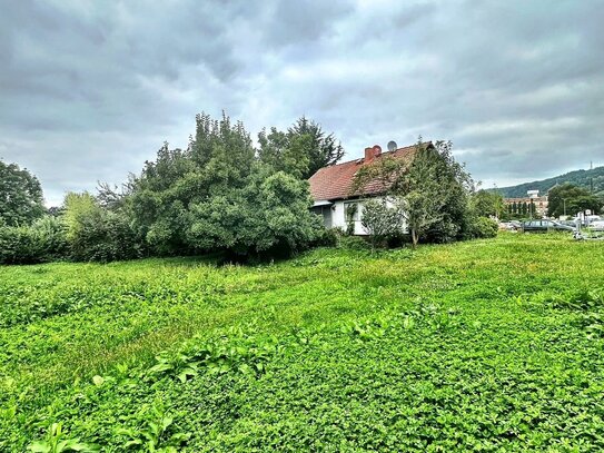 Weinheim- Haus mit mega Grundstück im Herzen der Stadt