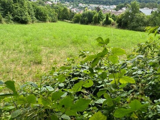 Marko Winter Immobilien - Billigheim: hier könnte Ihr Traumhaus stehen