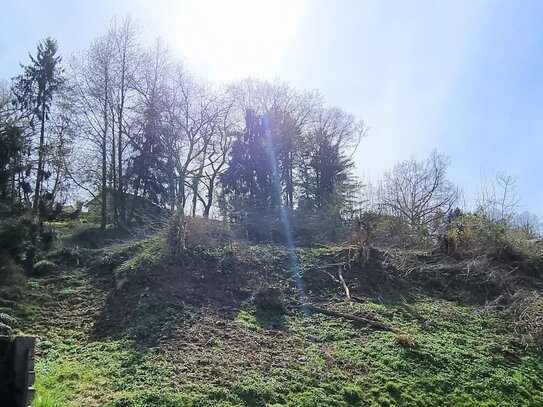 *** DIE LAGE LOCKT *** Baugrundstück in zentrumsnaher Lage von Blieskastel