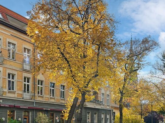 Traumhafte 4-Zimmer-Wohnung in Berlin-Adlershof nähe des Wissenschaftszentrums