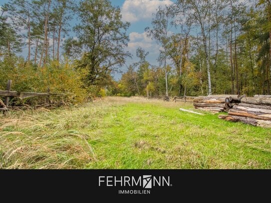 3,07ha Waldfläche in Wahlitz zum Kauf