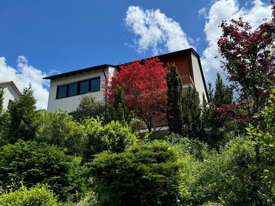 Attraktives Haus in Randersacker mit herrlichem Blick auf die Weinberge.