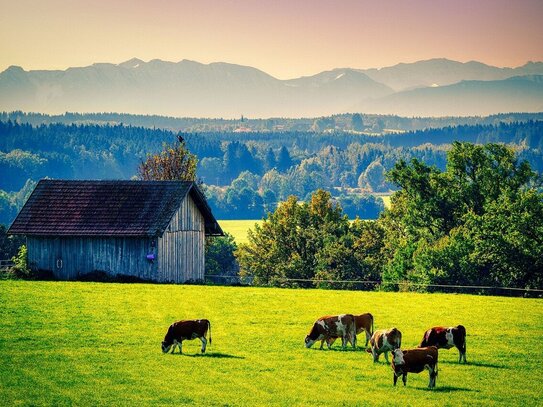 1,75 ha Grünland/Wiese in Unteregg/Allgäu! (Weitere Fläche in der Nähe)