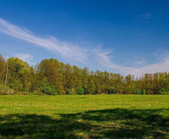 Real Estate Title Image Background