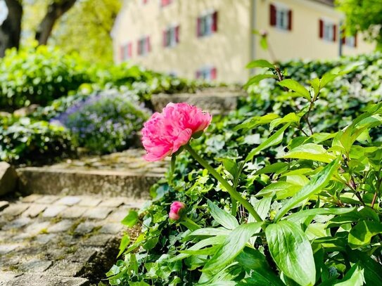 Idyllisches Wohnambiente in Alleinlage