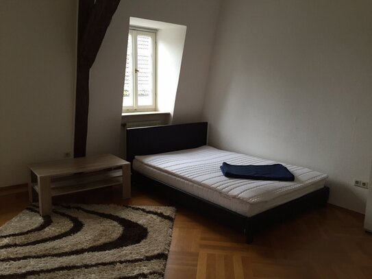 1 Zimmer Appartment im Schloss Massenbach