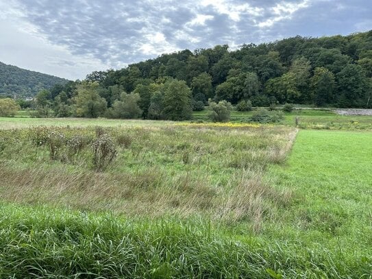 Landwirtschaftsfläche bei Hammelburg - Morlesau