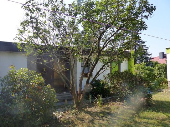 Einfamilienhaus im Bungalowstil mit großzügigen Grundstück und terrassenförmiger Architektur am Oschatzer Stadtrand.