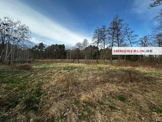 IMMOBERLIN.DE - Großes Wiesen-/Freizeitgrundstück mit Umwidmungspotential für Bauland