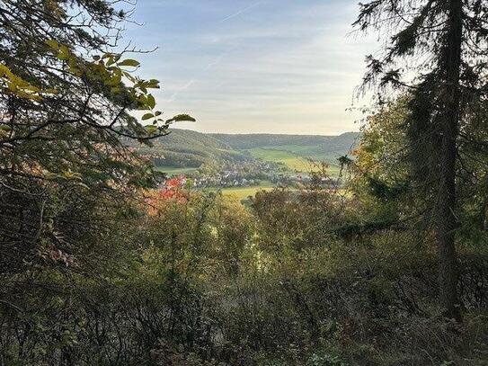 Zurück zur Natur -Ferienhaus mitten im Wald