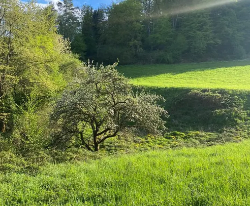 Großes Grundstück, bestens geeignet für Investor, Bauherren und Personen, die das Besondere suchen.