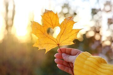 Den Herbst auf der eigenen Terrasse genießen- EFH inkl. Grundstück in TOP LAGE