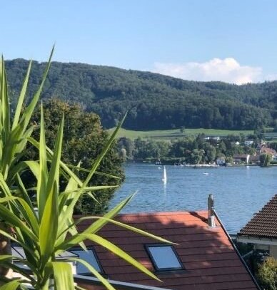 Neuer Preis - Auf der Höri: Modernes Landhaus mit Einliegerwohnung, Seeblick und Sonne garantiert