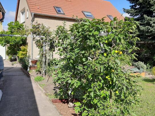 Einfamilienhaus in ruhiger Lage