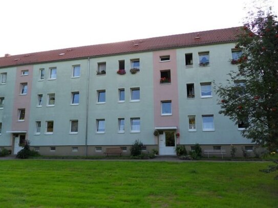 Dreizimmerwohnung auf dem Lande in 09634 Hirschfeld - Gemeinde Reinsberg