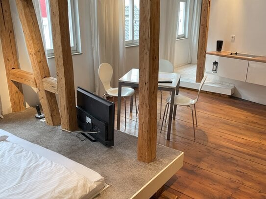 LOFT-APARTMENT - S-Mitte, WLAN inkl., modern, exklusiv - 2174