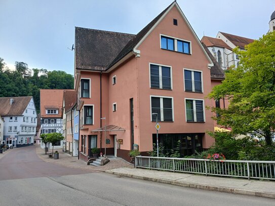 Sensationelles Penthouse einschliesslich 5 AirBNB Doppelzimmern