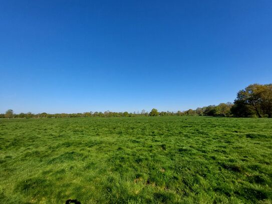 4,5 ha Grünland bei Hude (Oldenburg) zu verkaufen