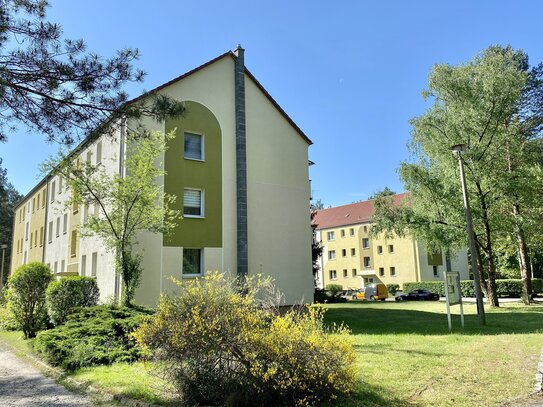 Privatgarten unterhalb des Balkons! Vermietete 3-Zimmer-Wohnung in der herrlichen Natur von Rauen.