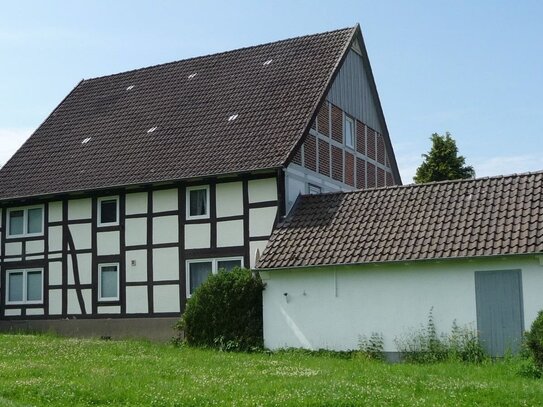 Freiraum für individuelles Wohnen ! Einfamilien-Fachwerkhaus mit großem Garten-/Natur-Grundstück in Dörentrup