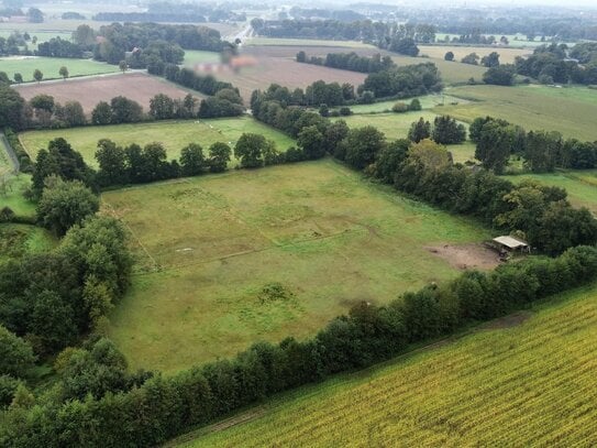 Grünland in Nordhorn "Feldkamp" / "Am Gänsediek"