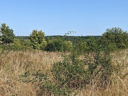 Brachland am Stadtrand von Gotha zu verkaufen