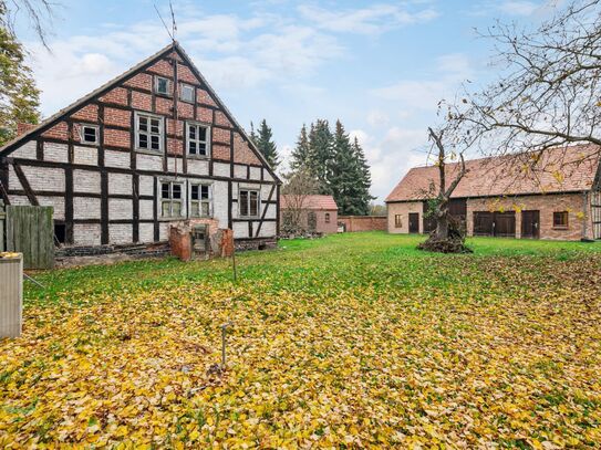 Top für landwirtschaftlicher Nutzung oder der Schaffung eines Wohnprojekts in Neulewin im Oderbruch