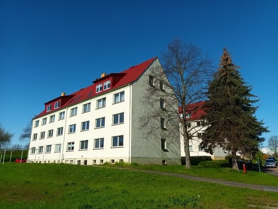 Viel Platz - schöne helle 6-Raum-Dachwohnung