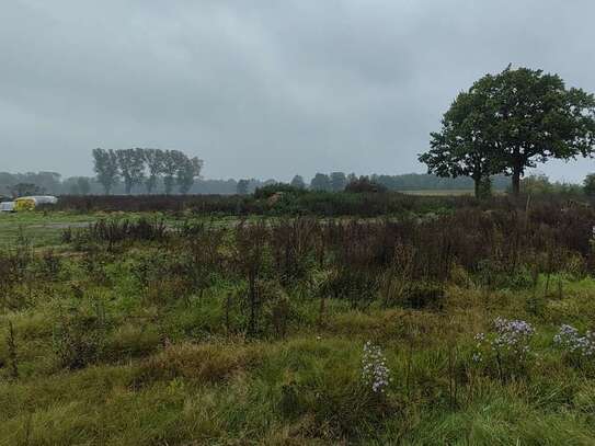 Baugrundstück in Naturlage