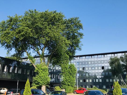 689 m² moderne Büroflächen in Duisburg | Kantine im Haus | klimatisiert