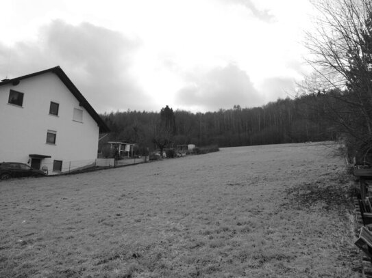 Idyllisch gelegenes Grundstück: Leichte Hanglage und absolute Ruhe in Schlierbach!