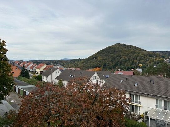 Blick auf den Hausberg von Suhl