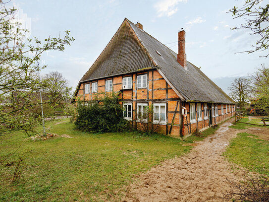 Resthof mit Option zur Pferdehaltung und Ferienvermietung an der Elbe