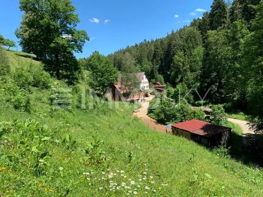 ** Idyllische Alleinlage - ein Anwesen für MACHER **