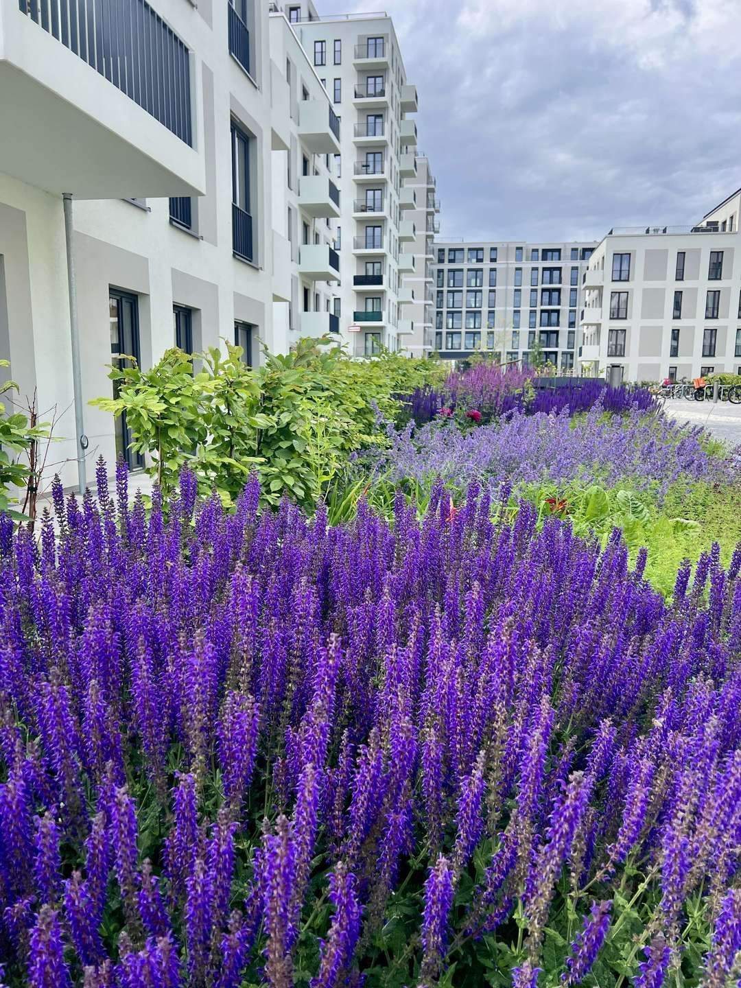 1 Zimmer mit Terrasse - HAVELUFER Quartier - Photo 1