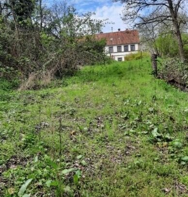 wunderschön gelegenes Baugrundstück in Quirnbach, Liebstahl mit unverbaubarem Waldblick