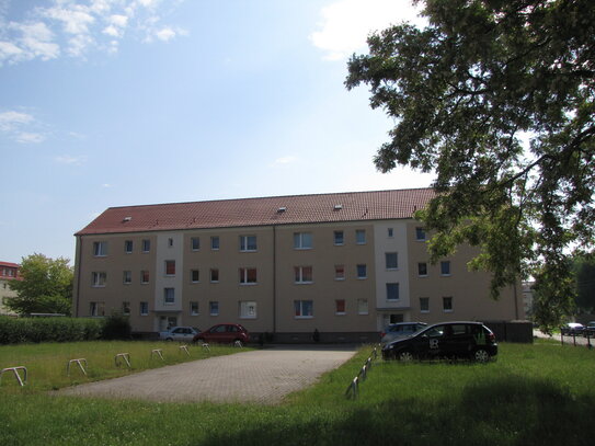 Renovierte 2-Raum-Wohnung in Greifswald