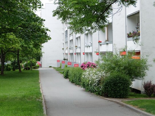 *IDEAL für Allergiker! - Vollgeflieste 3-Zimmer-Wohnung mit Balkon in Kappel*