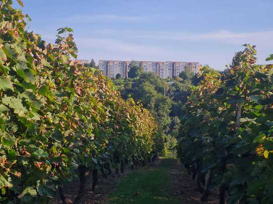 Große 4-Raum-Wohnung im herrlichem Ausblick