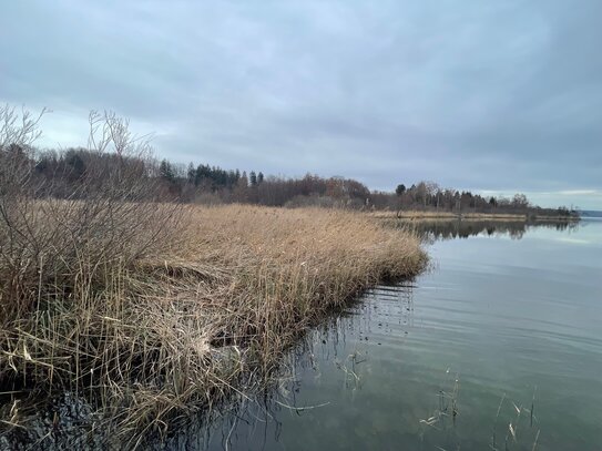 Rarität für Naturliebhaber! Grundstück mit ca. 14.500 m² mit direktem Zugang in den Pilsensee