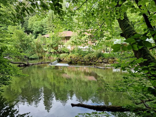 Bau- und Badeplatz am Ufer der Prien