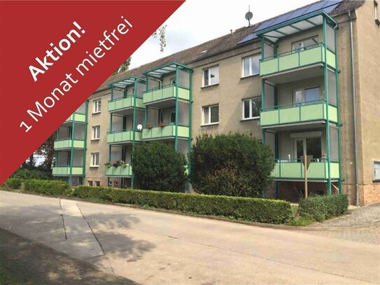 +++ 1 Monat mietfrei! Helle 3 Raumwohnung mit Balkon +++