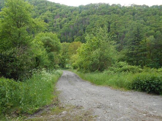 Waldgrundstück im Lahntal