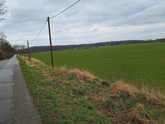 Verkauf einer ca.4,3 ha großen Ackerfläche (pachtfrei bei Übergabe) - bisher überwiegend für Gemüseanbau genutzt.