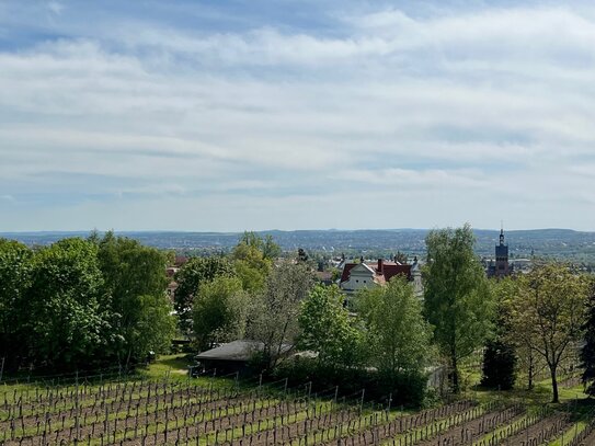 Balkon mit traumhafter Aussicht in den Weinbergen Radebeuls