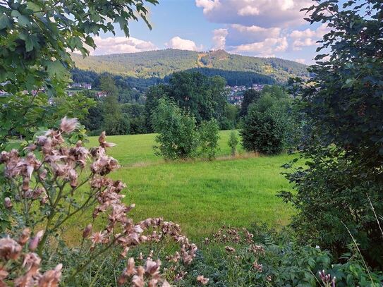 Ein wahres Juwel - weitläufiges Freizeitgrundstück mit traumhaftem Blick auf den Silberberg in Bodenmais