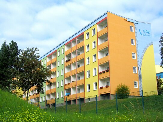 Sonnige Wohnung mit Blick ins Erzgebirge